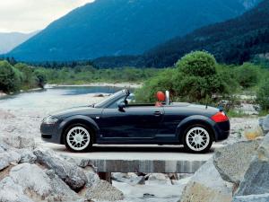 Audi TT Roadster 1999 года  (WW)